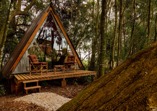 Cabana Alain Ducasse